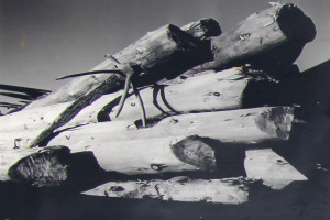 Bilde av Stort tømmer funnet
